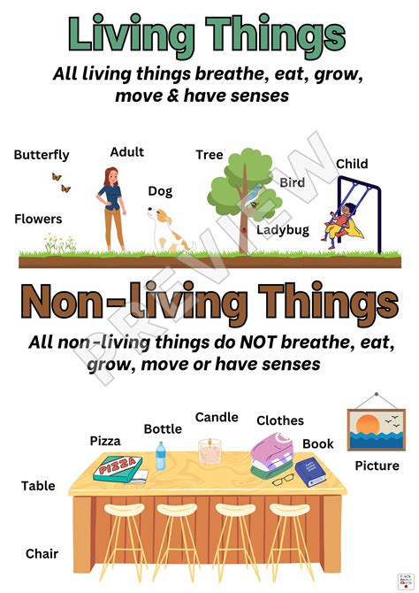 Living vs. Non.